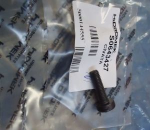 S0643427, S06/43427 TORX винт